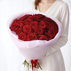 25 красных роз 50см в упаковке (Россия)