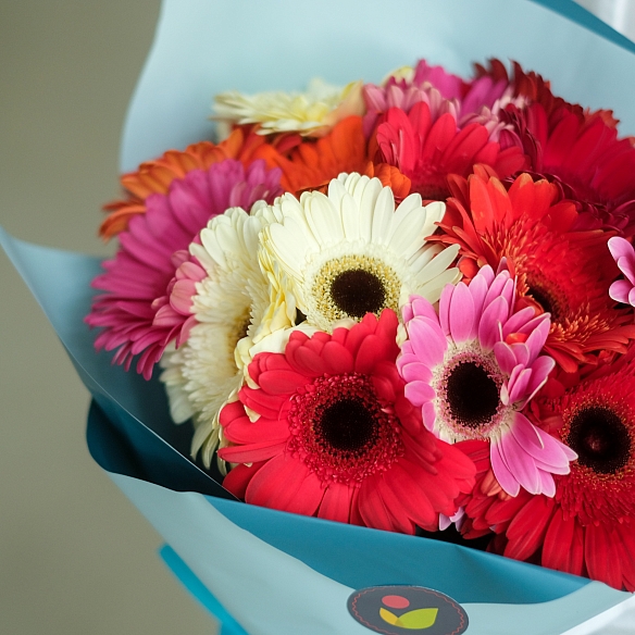 15 гербер в упаковке