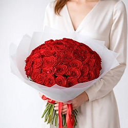 51 красная роза 40см в упаковке (Россия)