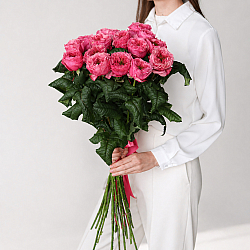 15 малиновых пионовидных роз 70см (Россия)