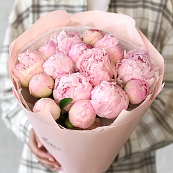 15 нежно-розовых пионов в упаковке (Голландия)