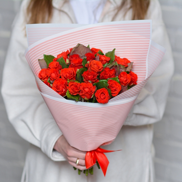 25 красных роз 35-40см в упаковке (Россия)