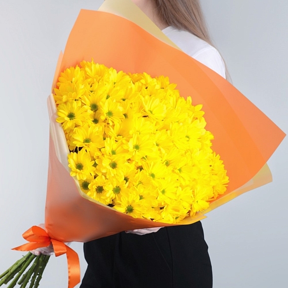 15 желтых кустовых хризантем в упаковке