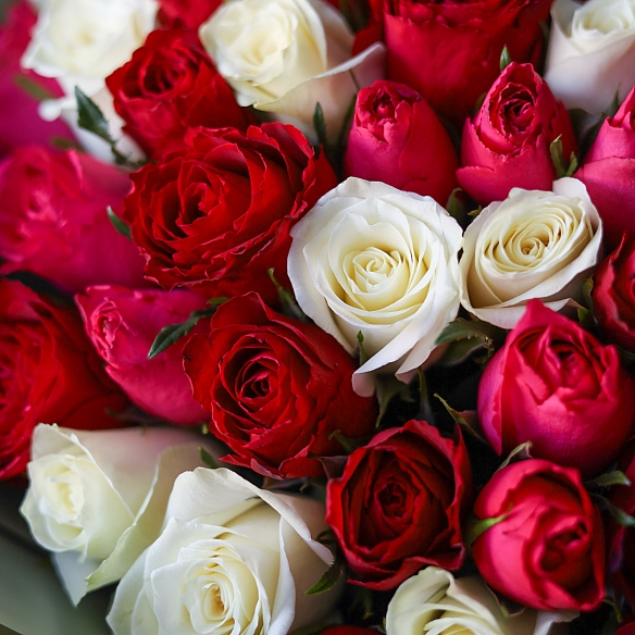 101 роза яркий микс 35-40см в упаковке (Кения)