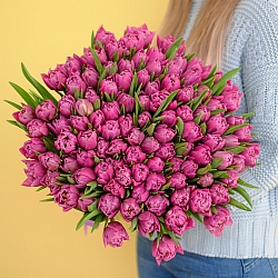 101 фиолетовый тюльпан (Пионовидные)