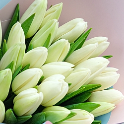 15 белых тюльпанов в упаковке