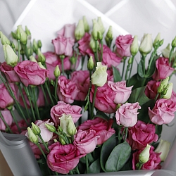 9 розовых эустом в упаковке