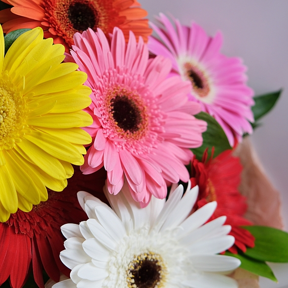 Букет «Поп Арт»