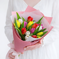 15 тюльпанов микс в упаковке