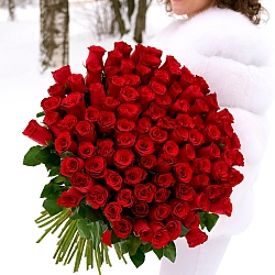 101 красная роза 70см (Кения)