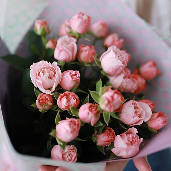 5 кустовых роз Мадам Бомбастик в упаковке (Голландия)