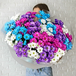 25 кустовых хризантем микс в упаковке