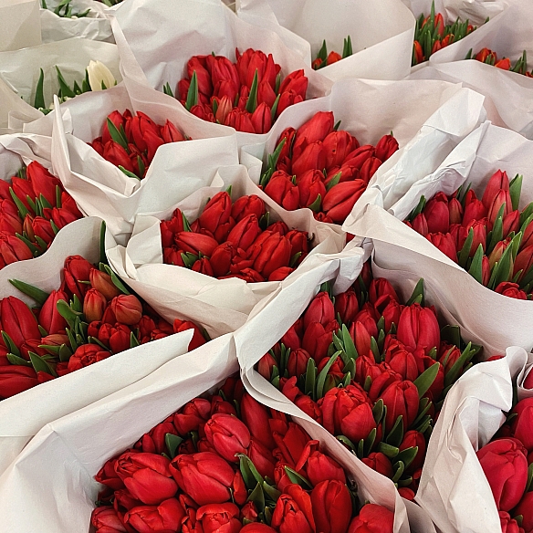 Охапка красных тюльпанов (50шт)