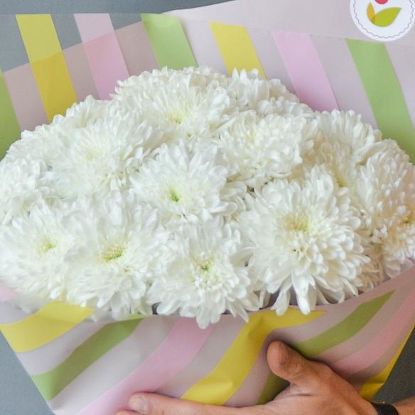 15 белых одноголовых хризантем в упаковке