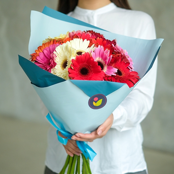 15 гербер в упаковке