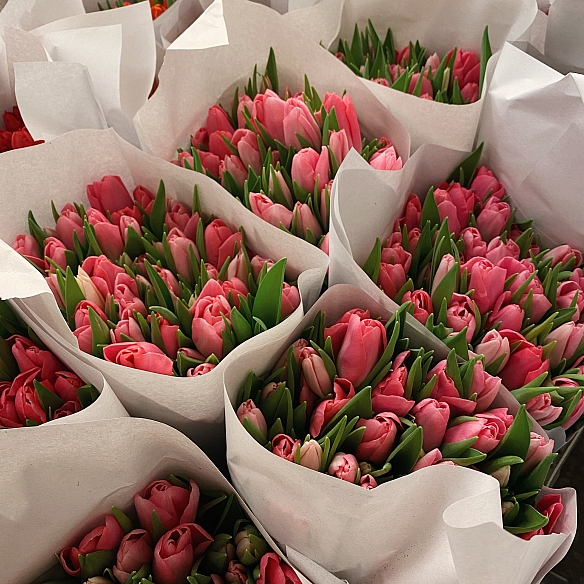 Охапка розовых тюльпанов (50шт)