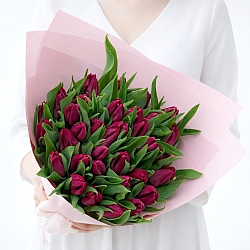 35 темно-розовых тюльпанов в упаковке