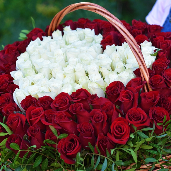 151 роза "сердце в корзине" (Кения)