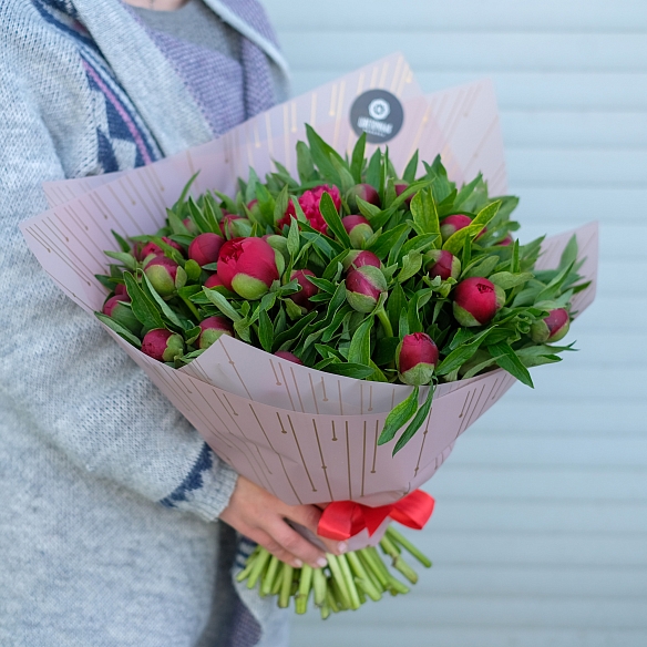 51 бордовый пион в упаковке (Россия)