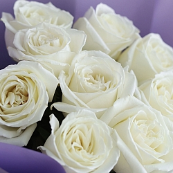 9 роз Плайя Бланка 50см в упаковке (Эквадор)