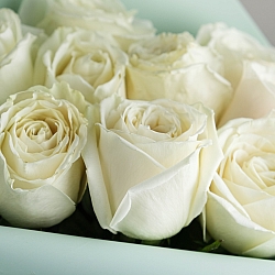 9 роз Плайя Бланка 50см в упаковке (Эквадор)