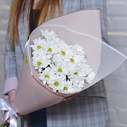 5 белых кустовых хризантем в упаковке