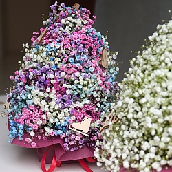 Елочка пушистая «Color»