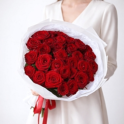 31 красная роза 50см в упаковке (Россия)