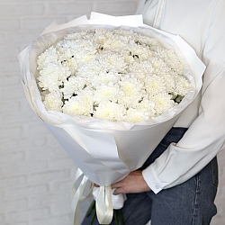 15 белых кустовых хризантем в упаковке