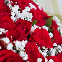 Букет «Красный бархат»