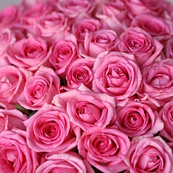 35 розовых роз 40см в упаковке (Россия)