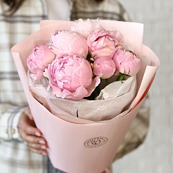 7 нежно-розовых пионов в упаковке (Голландия)