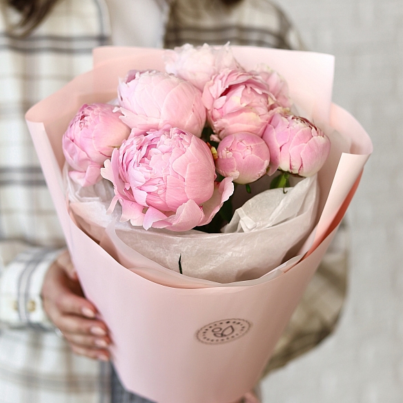 7 нежно-розовых пионов в упаковке (Голландия)