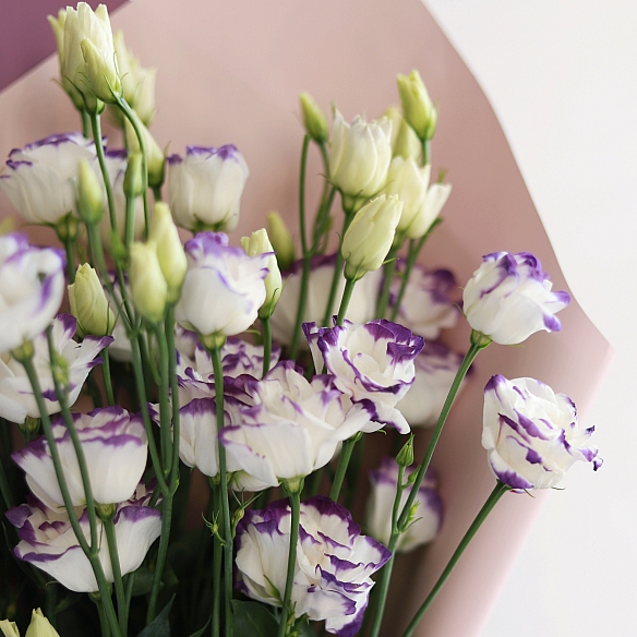 5 бело-фиолетовых эустом в упаковке