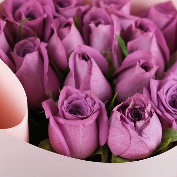 15 фиолетовых роз 35-40см в упаковке (Кения)