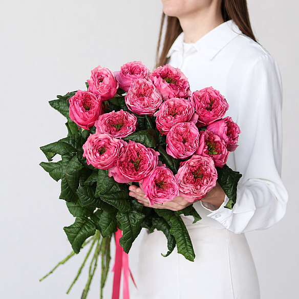 15 малиновых пионовидных роз 70см (Россия)