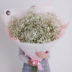 15 белых гипсофил в упаковке