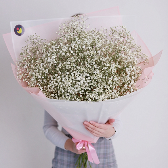15 белых гипсофил в упаковке