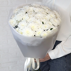 9 белых кустовых хризантем в упаковке