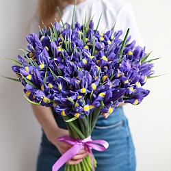 51 ирис под ленту