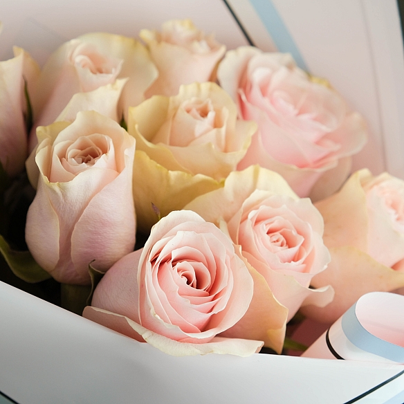 9 роз Фрутетто 50см в упаковке (Эквадор)