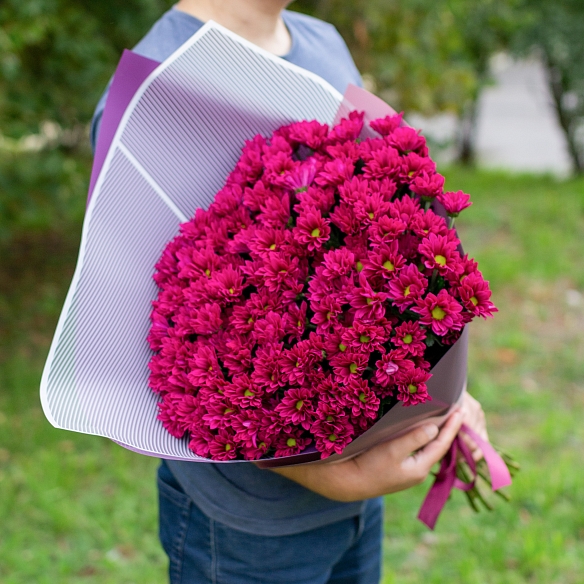15 кустовых хризантем пурпурного цвета в упаковке.