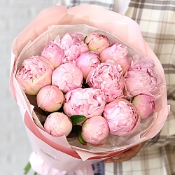 15 нежно-розовых пионов в упаковке (Голландия)