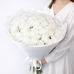 25 белых кустовых хризантем в упаковке