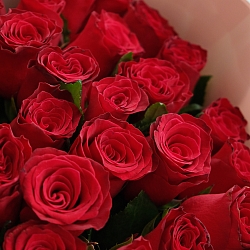 35 красных роз 70см в упаковке (Кения)