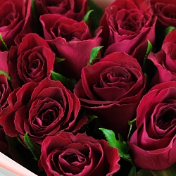 15 красных роз 35-40см в упаковке (Кения)