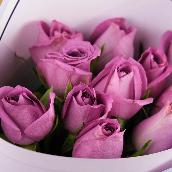 11 фиолетовых роз 35-40см в упаковке (Кения)