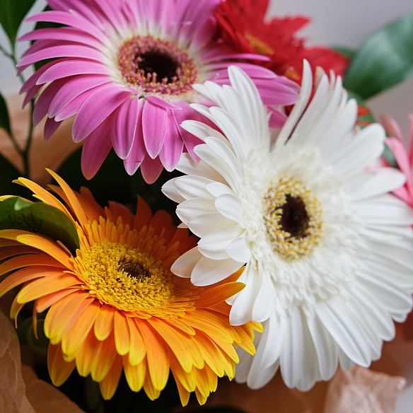 Букет «Поп Арт» mini