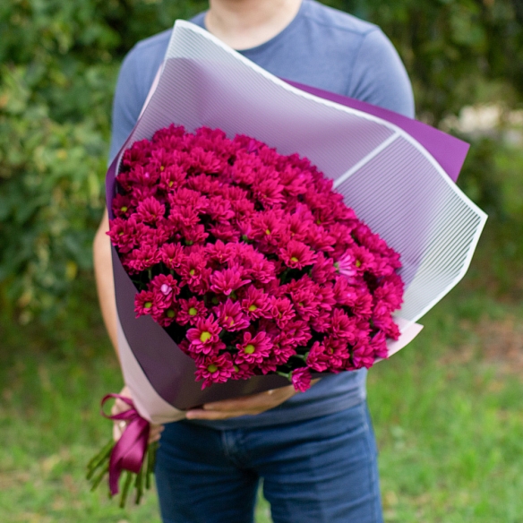 15 кустовых хризантем пурпурного цвета в упаковке.