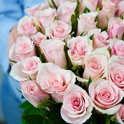51 бело-розовая роза 35-40см (Кения)